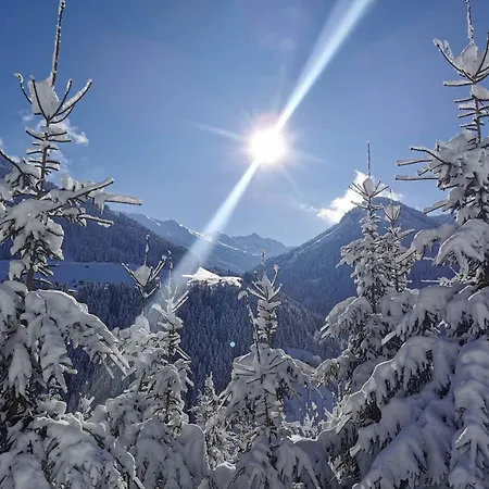 Sunhill *